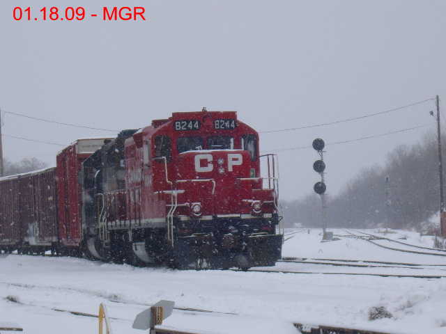 Sparse Sightings January 2009