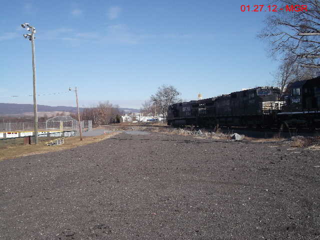 Sightings 01.27.12 / NB At Avoca