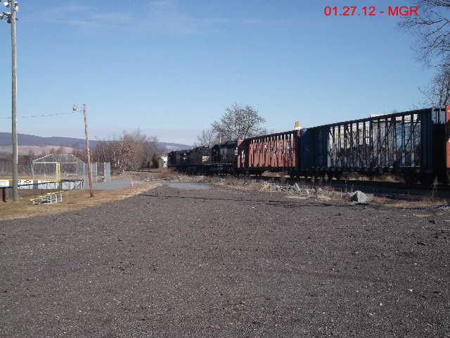 Sightings 01.27.12 / NB At Avoca