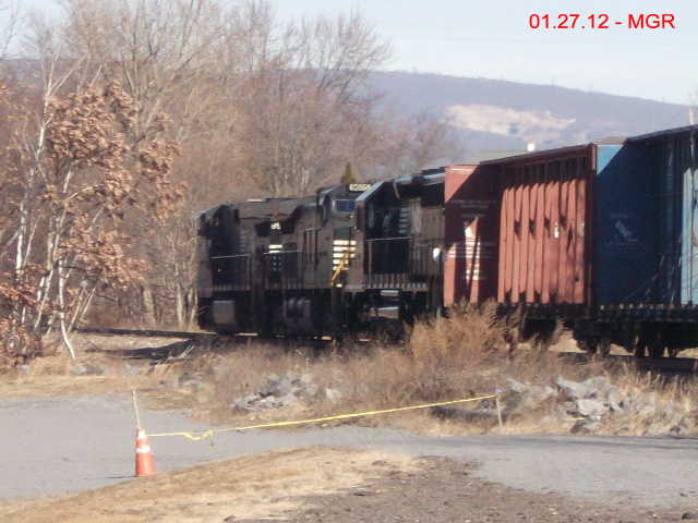 Sightings 01.27.12 / NB At Avoca