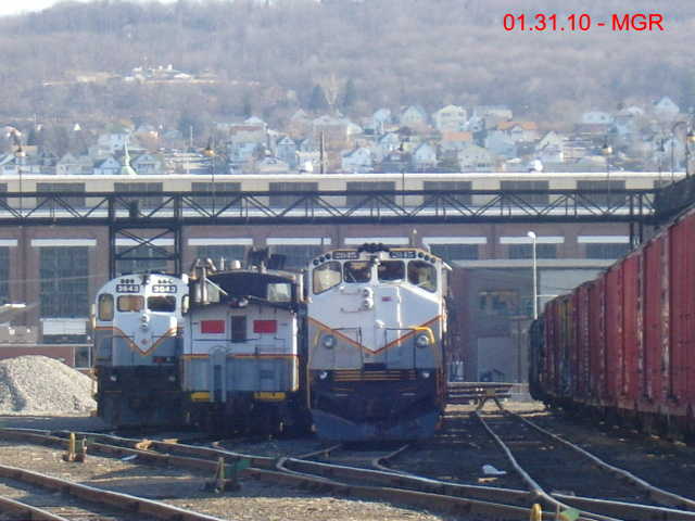 Sightings 01.31.10 / DL at Scranton 