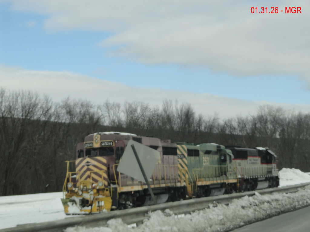 Sightings 01.31.26  / R&N and DL 