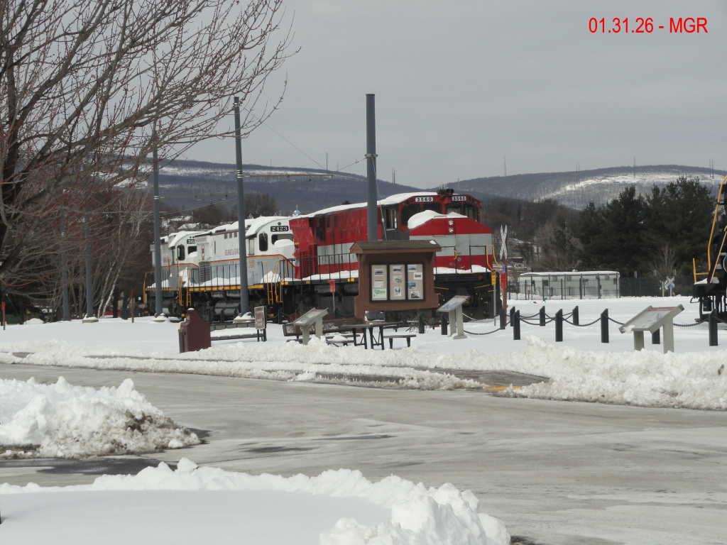 Sightings 01.31.26  / R&N and DL 