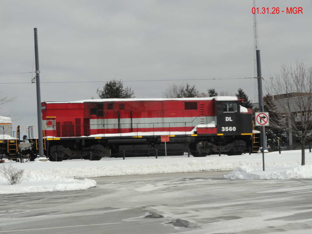 Sightings 01.31.26  / R&N and DL 