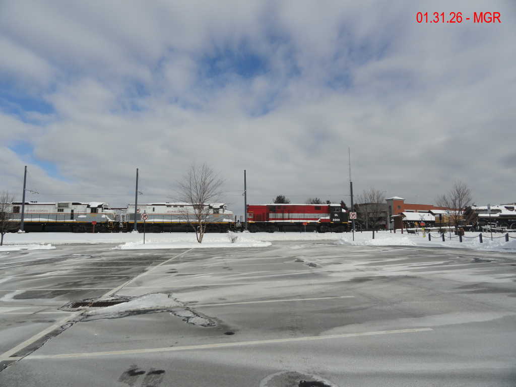 Sightings 01.31.26  / R&N and DL 