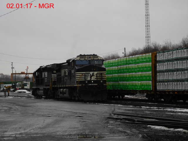 Sightings 02.01.17 / R&N At Taylor Yard