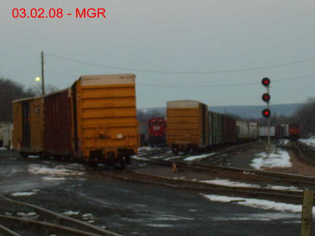 Sightings 03.02.08  /  DL, CP, R&N