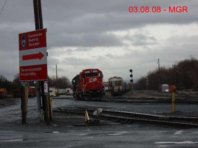 Sightings 03.08.08 / Sparse Sightings