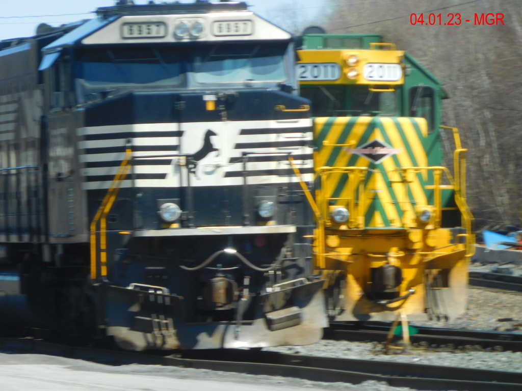 Sightings 04.01.23 / Mixed sightings