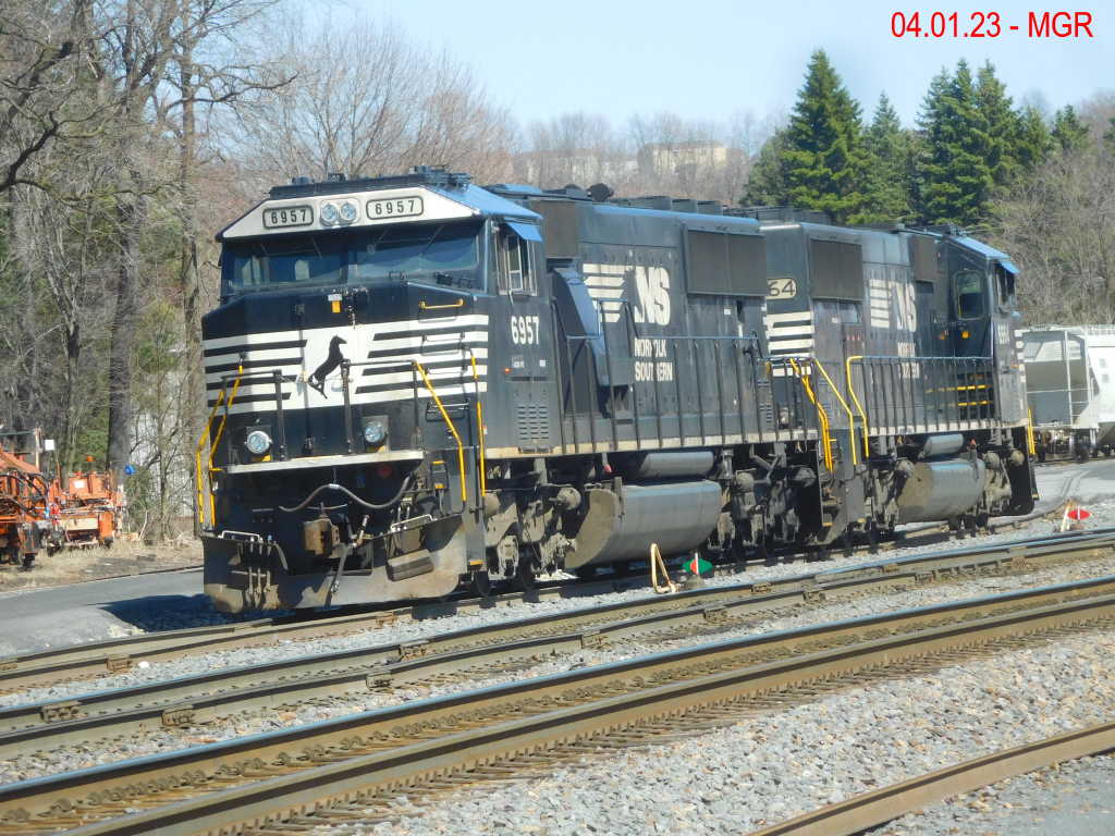 Sightings 04.01.23 / Mixed sightings