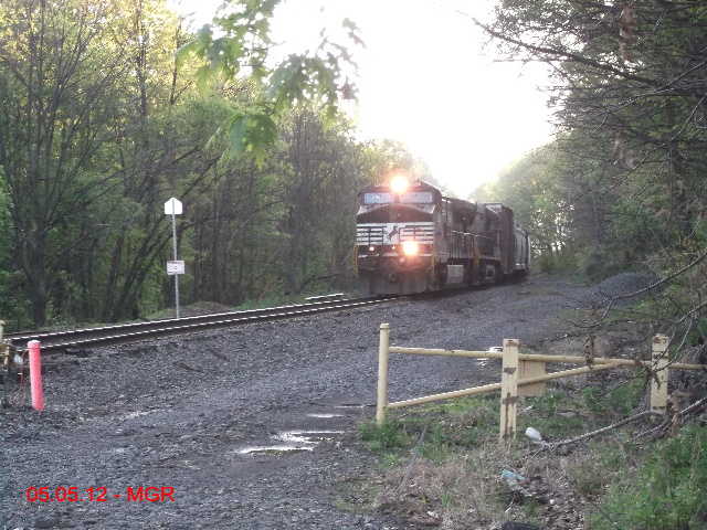 Sightings 05.05.12    /  NB at Plains