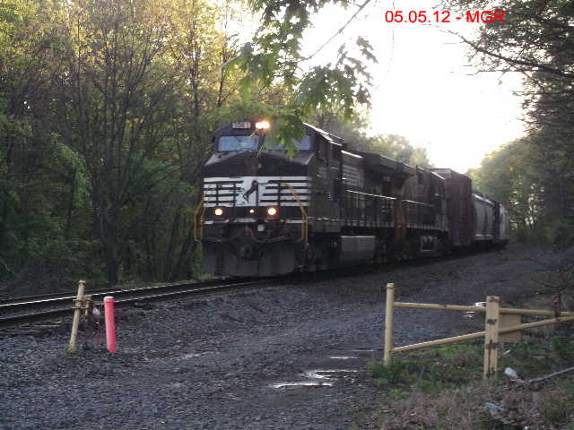 Sightings 05.05.12    /  NB at Plains