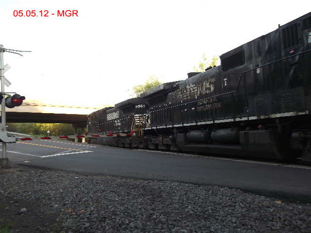 Sightings 05.05.12    /  NB at Plains