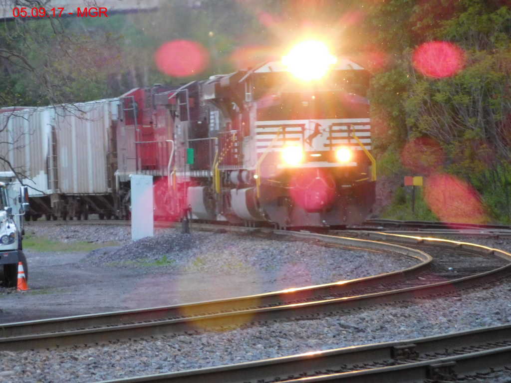 Sightings 05.09.17 / NB at Taylor Yard