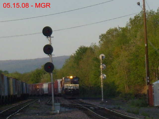 Sightings 05.15.08 / Taylor Yard