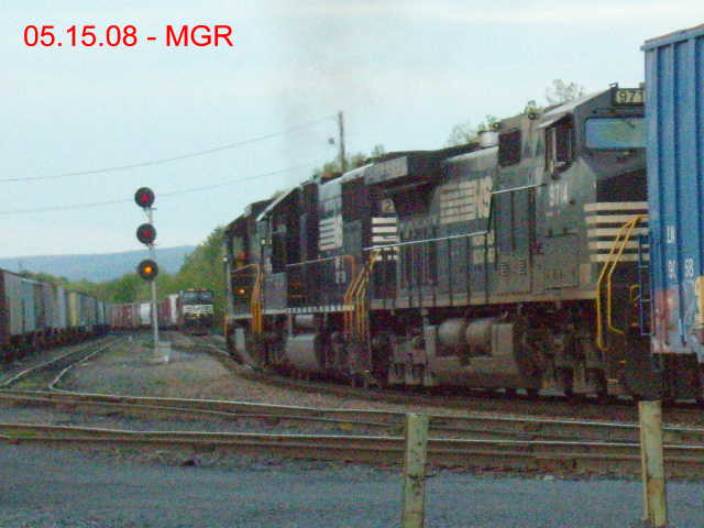 Sightings 05.15.08 / Taylor Yard