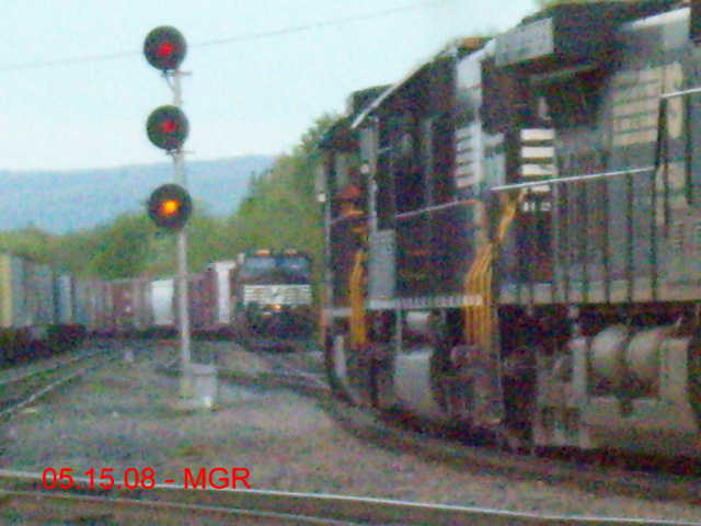 Sightings 05.15.08 / Taylor Yard