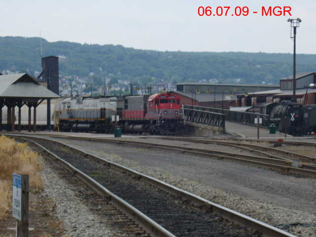 Sightings 06.07.09  / Local Sightings