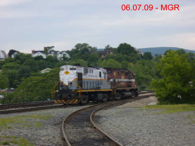 Sightings 06.07.09  / Local Sightings