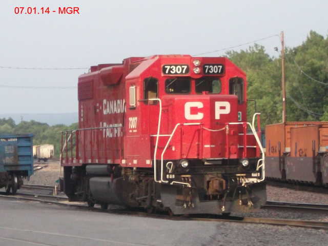 Sightings 07.01.14  / Taylor Yard 