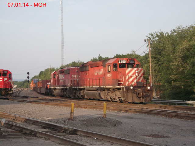 Sightings 07.01.14  / Taylor Yard 