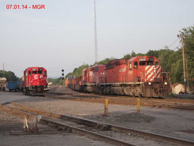 Sightings 07.01.14  / Taylor Yard 