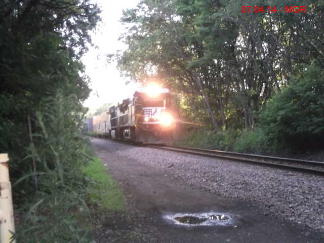 Sightings 07.04.14 / NB At Plain