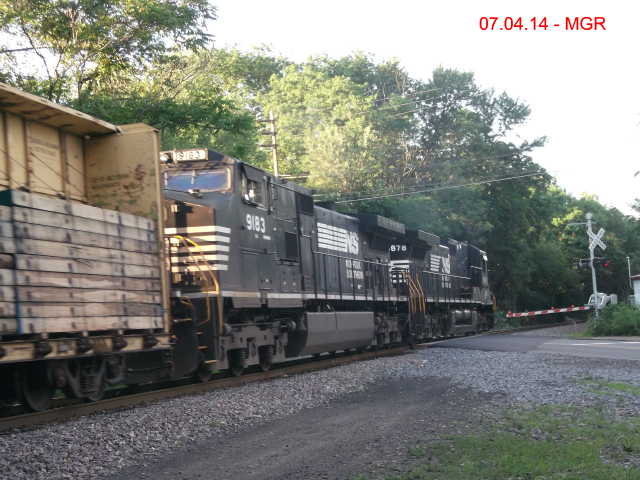 Sightings 07.04.14 / NB At Plain