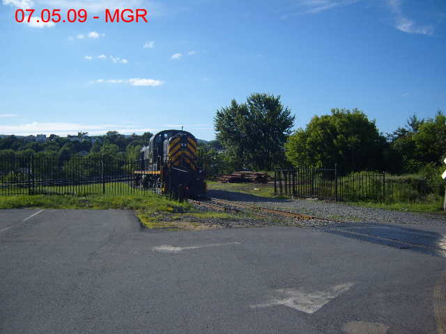 Sightings 07.05.09 / DL Pup