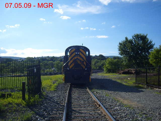 Sightings 07.05.09 / DL Pup