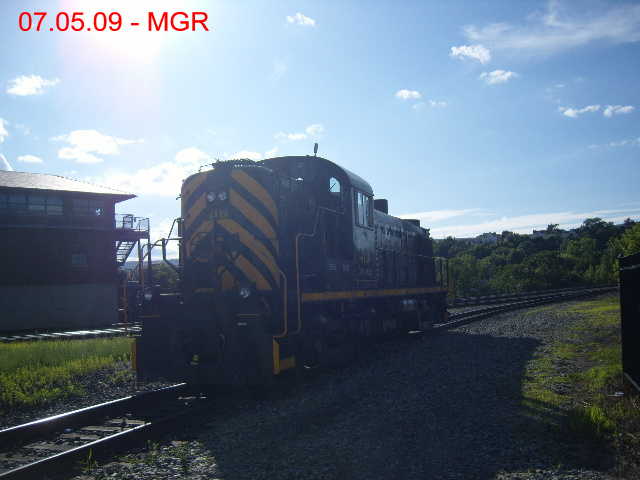 Sightings 07.05.09 / DL Pup