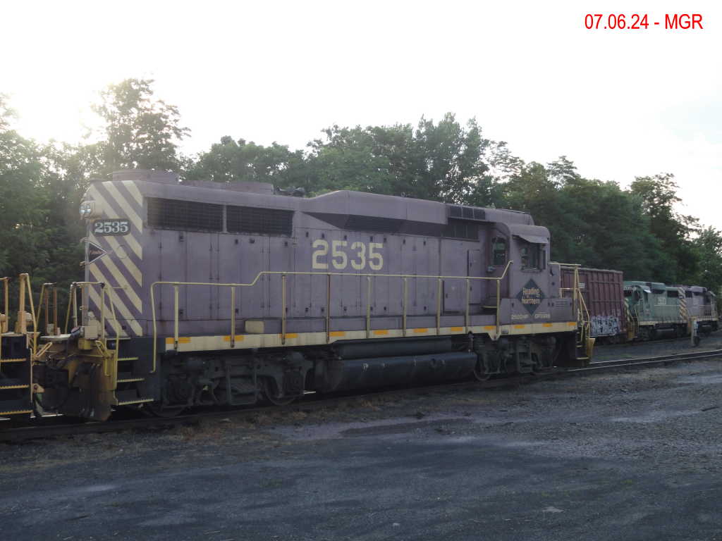 Sightings 07.06.24  / R&N and DL 