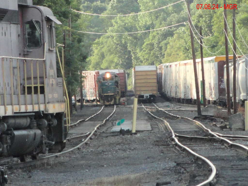 Sightings 07.06.24  / R&N and DL 