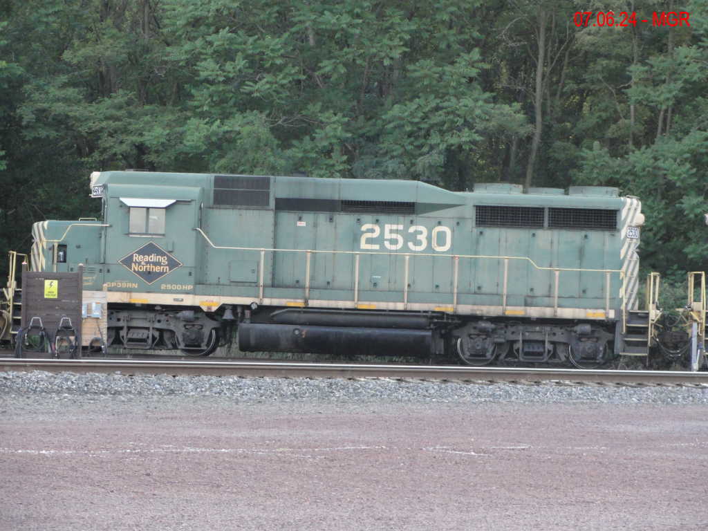 Sightings 07.06.24  / R&N and DL 