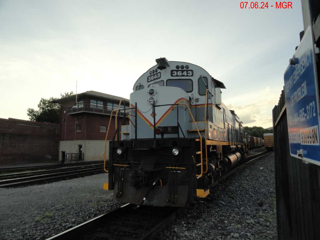 Sightings 07.06.24  / R&N and DL 