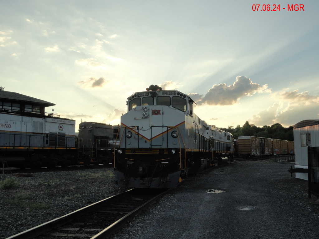 Sightings 07.06.24  / R&N and DL 