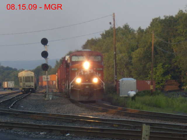 Sightings 08.15.09 / Taylor Yard