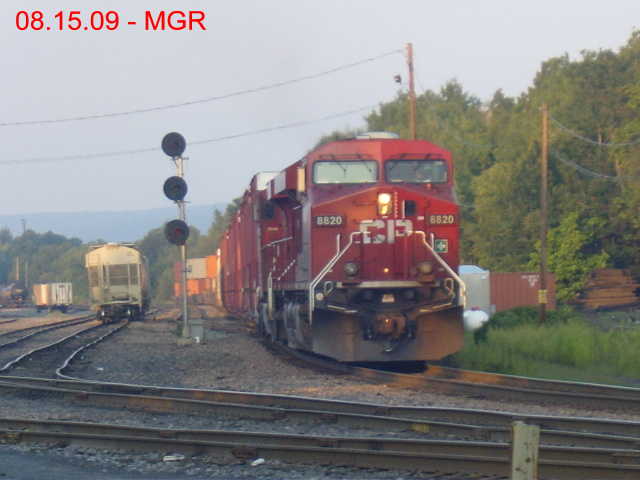 Sightings 08.15.09 / Taylor Yard