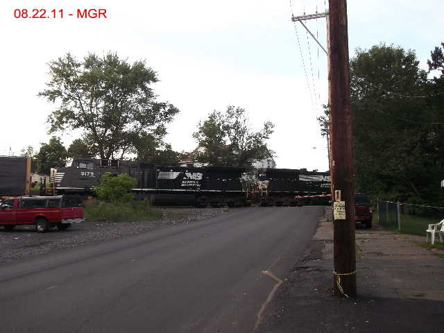 Sightings 08.22.11   /  NS at Slaba Hill Plains