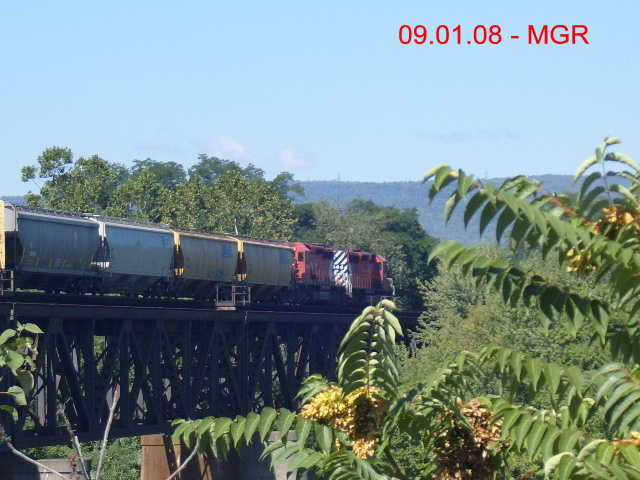 Sightings 09.01.08 / Local Crosses Gauntlet