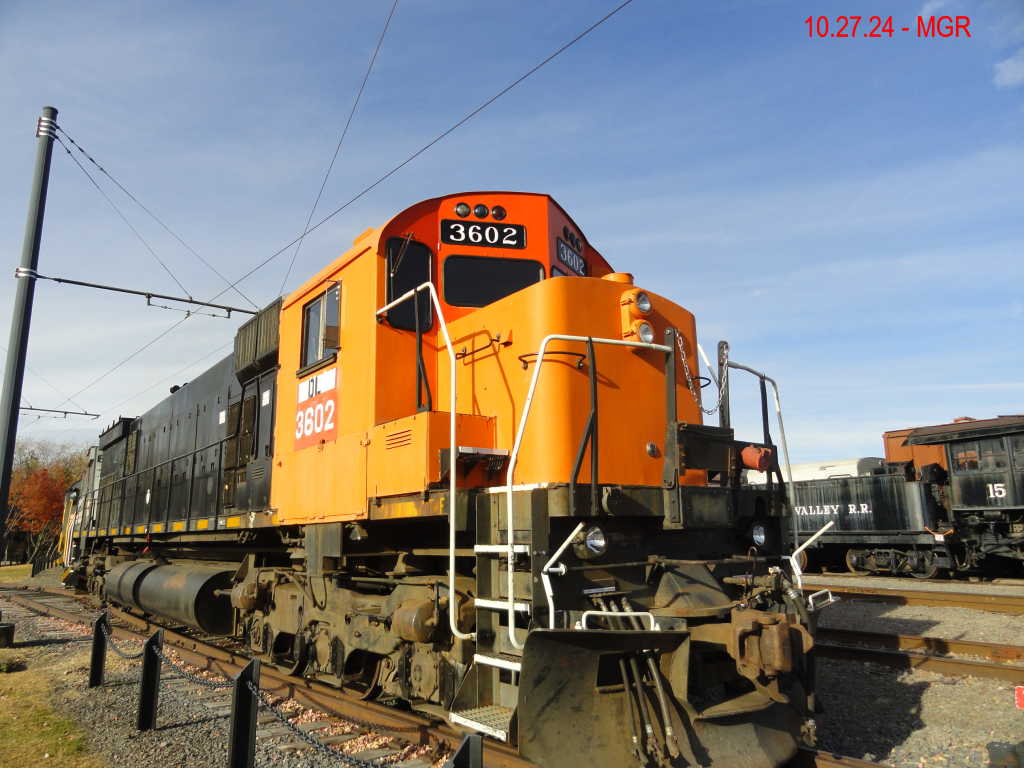 Sightings 10.27.24  /  DL Pumpkin Head