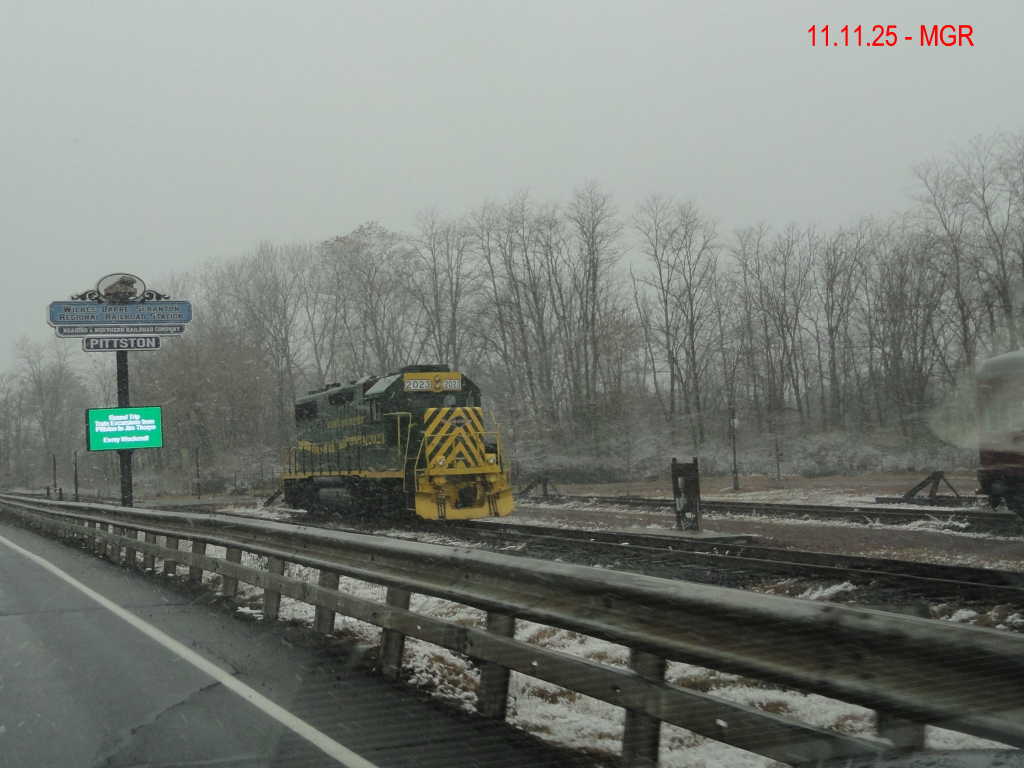 Sightings 11.11.25  / First Snow