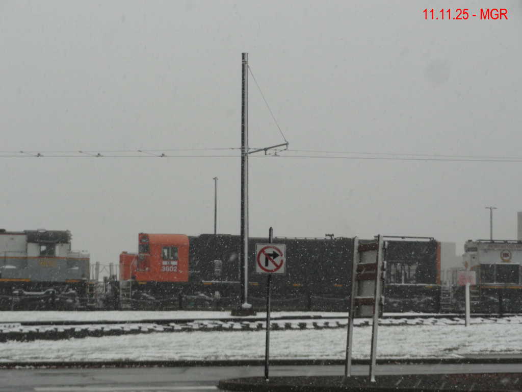 Sightings 11.11.25  / First Snow