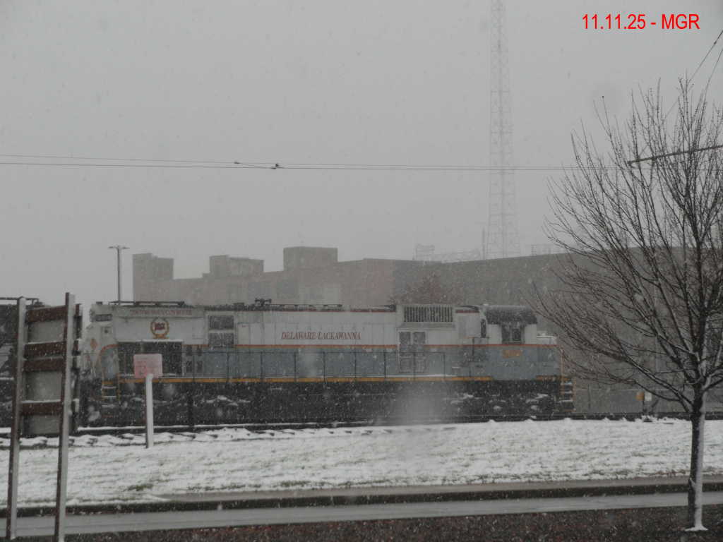 Sightings 11.11.25  / First Snow