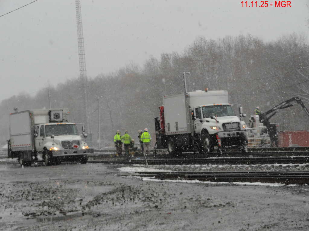 Sightings 11.11.25  / First Snow