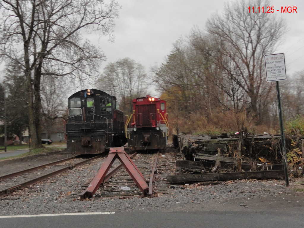 Sightings 11.11.25  / First Snow