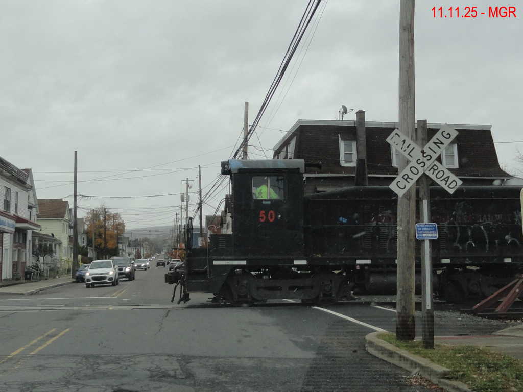 Sightings 11.11.25  / First Snow