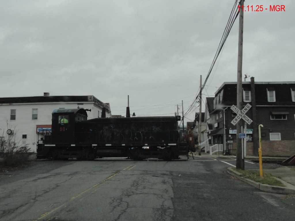 Sightings 11.11.25  / First Snow