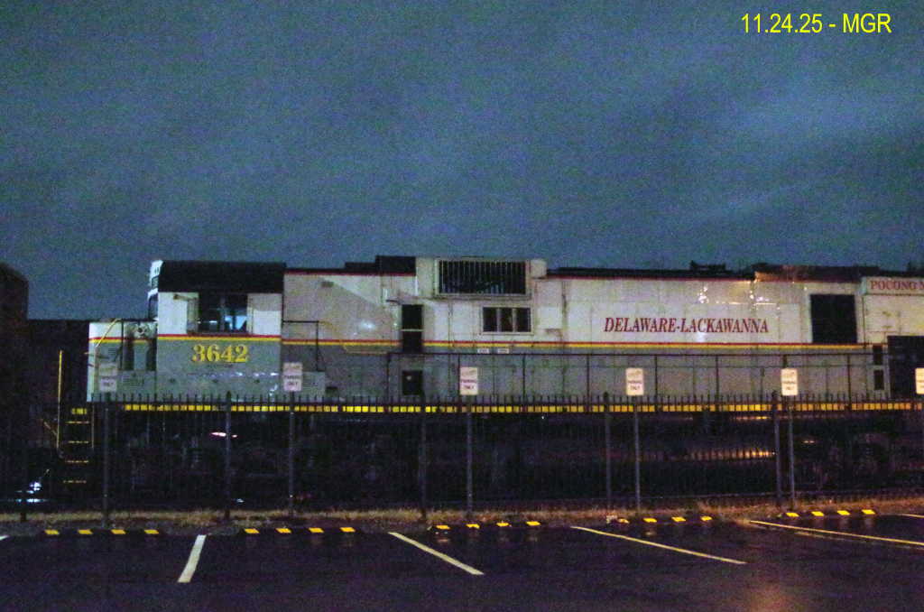 Sightings 11.24.25 / DL On A Rainy Night