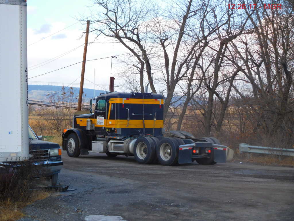 Sightings 12.26.17 / Taylor Yard